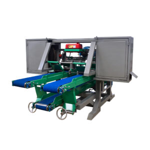 GR2021-19 REASERRADORA DUAL